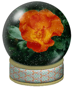 A GONDE MYRIAM JOCELINE