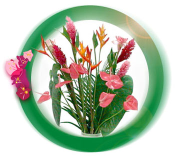 Notre histoire d'amour