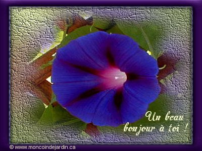 BONNE JOURNEE A TOI ,AMI(e)